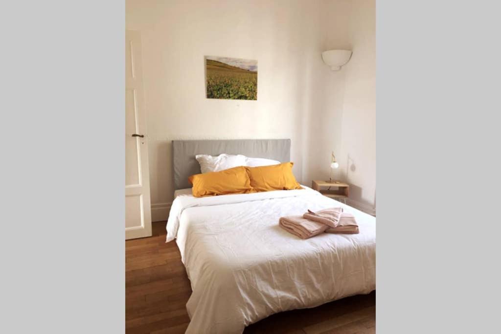 Appartement Cosy Idealement Situe Au Centre Ville Дижон Экстерьер фото